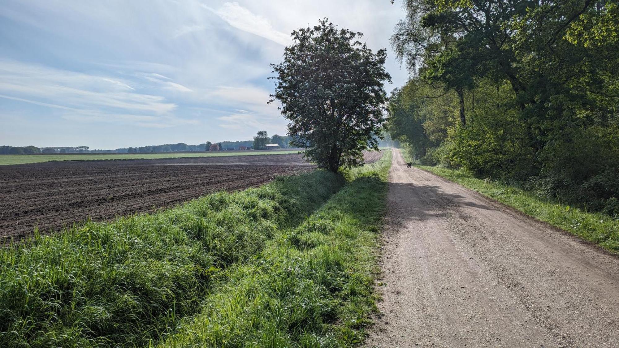 Luxe Bungalow "Zomeroord" Beekbergen Kültér fotó